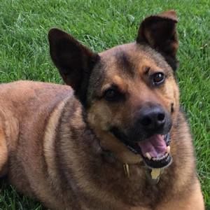 Meet your Posher, Judy